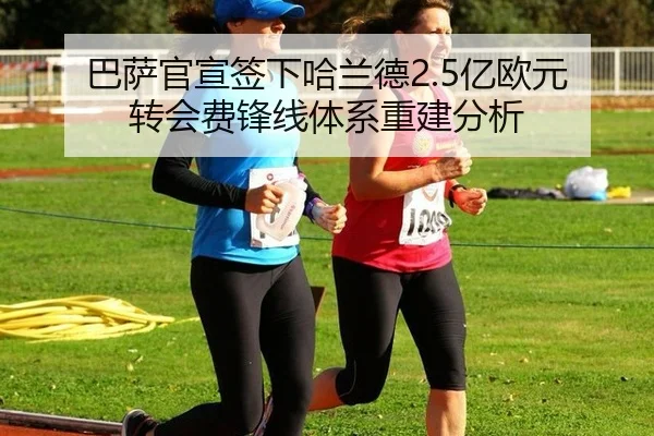 ba-sa-guan-xuan-qian-xia-ha-lan-de-yi-ou-yuan-zhuan-hui-fei-feng-xian-ti-xi-chong-jian-fen-xi-3-203.jpg
