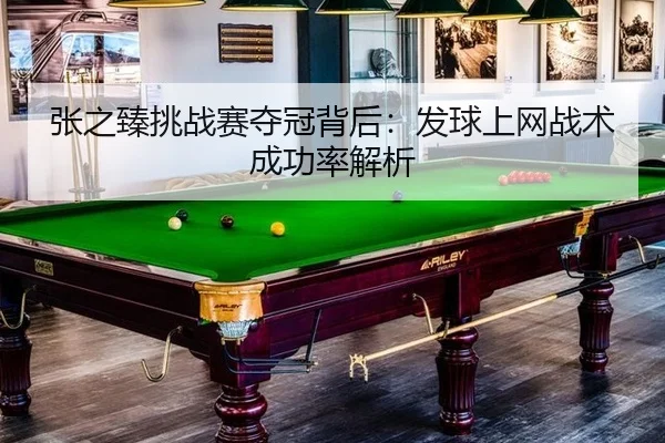 张之臻挑战赛夺冠背后：发球上网战术成功率解析